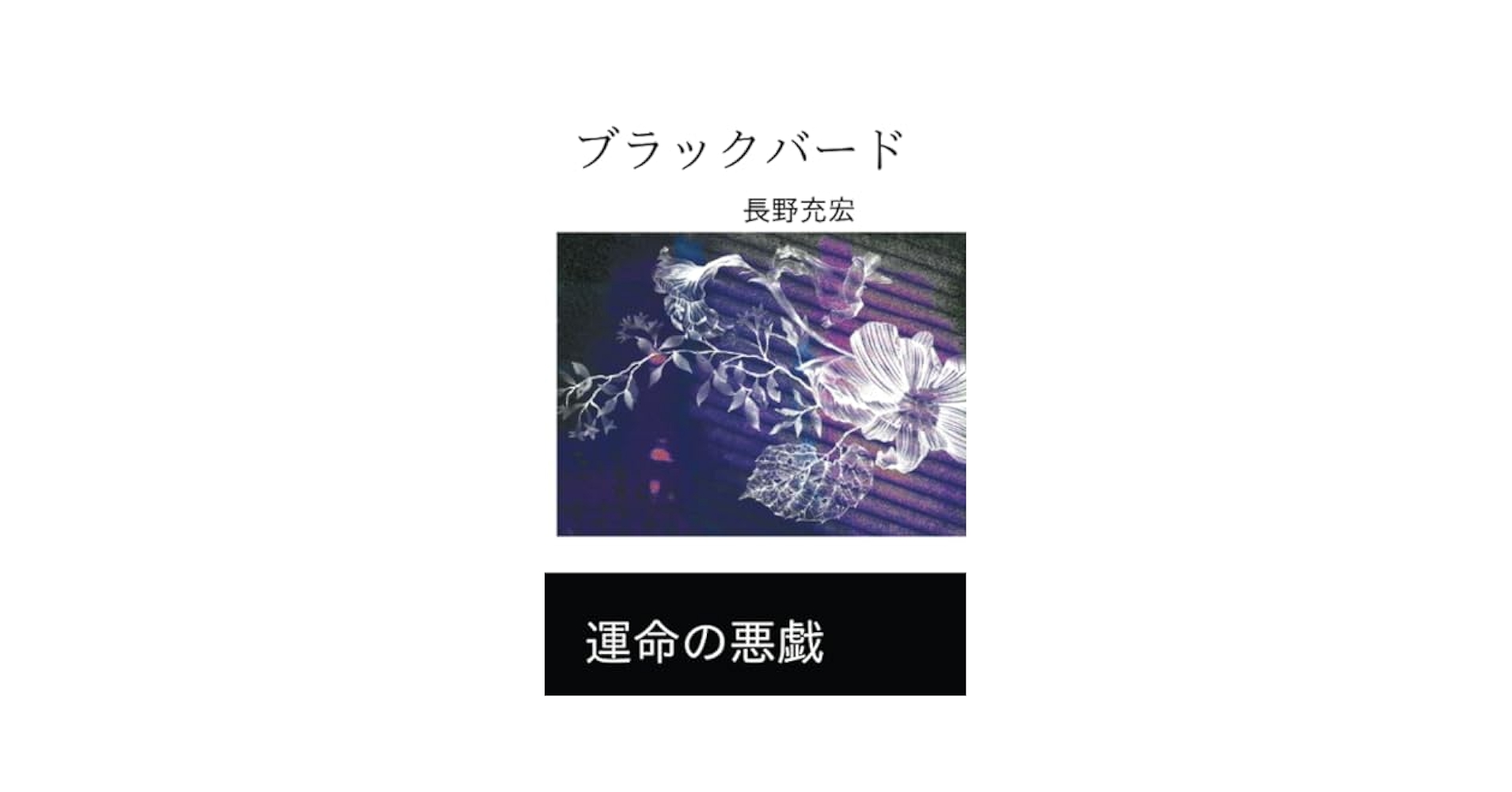 ブラックバード 長野充宏著 ブラックバード (∞books(ムゲンブックス) - デザインエッグ社